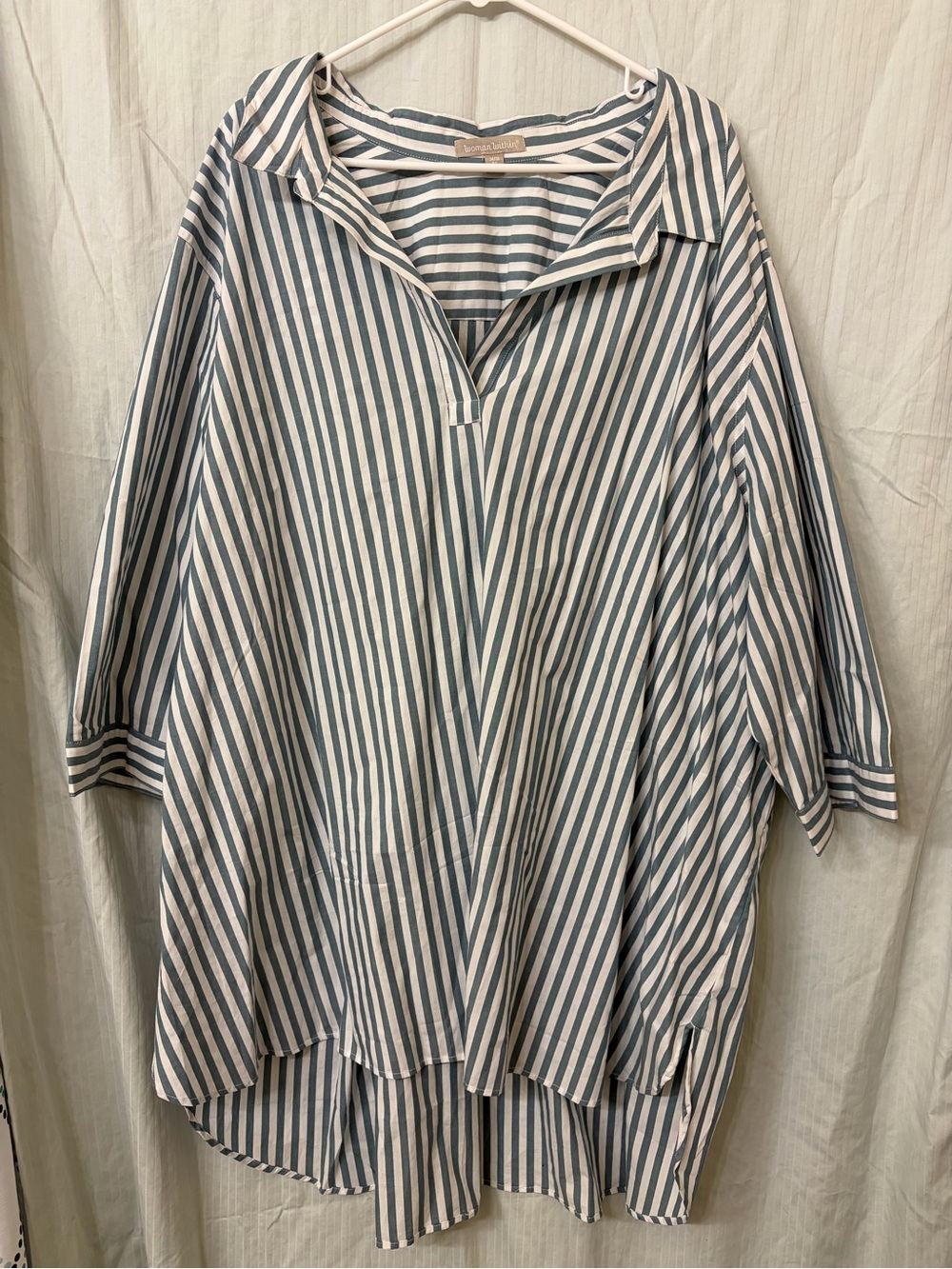 Woman Within Blue & White Striped V-Neck Tunic